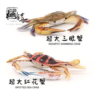 『臺灣 好物精選』模擬海洋動物梭子蟹螃蟹模型玩具帝王蟹大椰子蟹兒童認知道具禮物