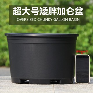 🔥臺灣發貨🔥黑加侖特大號花盆園藝草莓盆月季盆矮胖大號通用型加侖盆跨境貨源🔥熱賣🔥