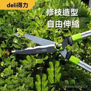 高階品質🎁免運🚚 得力園藝剪刀 剪樹枝專用剪刀 修枝剪 花剪 修剪樹枝剪刀 剪草伸縮剪刀