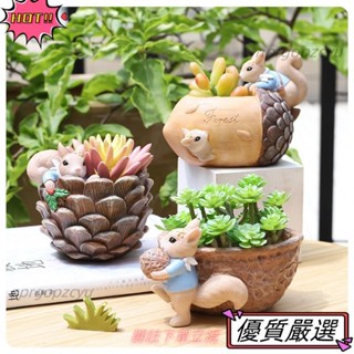🌈限時促銷 田園創意卡通堅果花園花盆 微景觀多肉植物花盆 兒童房窗臺裝飾花盆27