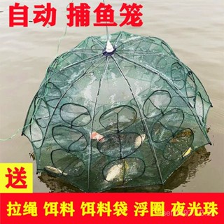 桃園快速🚚 折疊傘籠 捕魚網 捕魚籠 蝦籠 捕蝦籠 魚網 漁網 籠蝦 籠蝦網 折疊捕魚傘網