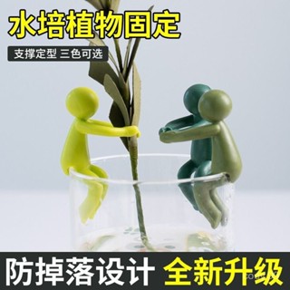 🔥桃園出貨🔥【30天爆款】水培生長伴侶固定扶正器支撐架魚缸盆栽園藝神器
