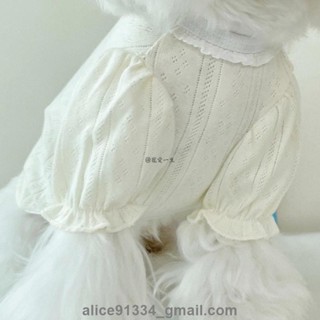 臺中發貨✨可愛寵物衣服 公主風貓衣服 純棉透氣狗狗衣服 春夏透氣舒適狗衣服 中小型犬衣服 貓咪衣服 貓衣服 狗衣服