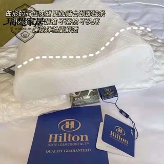 👉🏻臺灣出貨👈🏻[璃想]枕頭枕芯套裝一對希爾頓護頸枕按摩助眠防蟎單人雙人學生枕記憶枕保潔墊枕頭套 枕頭巾 防水枕