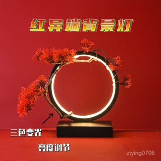 「🏆蝦皮熱銷」桌上展示紅異端新款背景燈擺件led可變光調光 mg高達模型手辦桌麵氛圍燈 5SF4