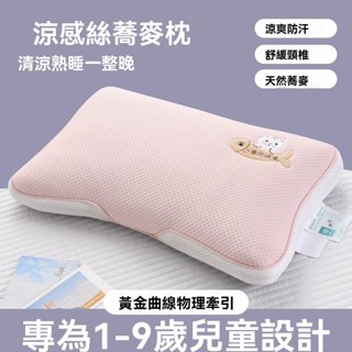 護頸枕 記憶枕 排濕透氣布 記憶棉枕 舒適 失眠救星 夏季單人學生護頸椎枕頭小米殻枕芯枕套兒童蕎麥殻枕冰絲涼感枕頭