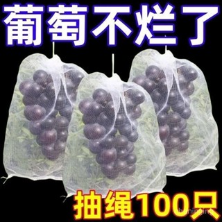 【店鋪熱銷】自帶抽繩葡萄水果套袋防蟲防鳥防雨水果網袋無花果透果蔬收納袋🔥三月放送bbb YRID