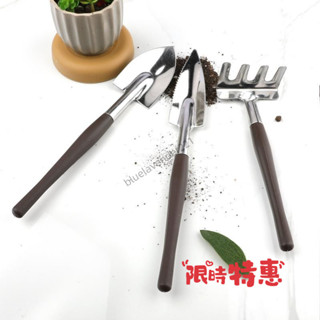 🔥熱門上新🔥不銹鋼多肉迷你剷子套裝 盆栽種花工具家用園藝三件套 園藝工具種植 園藝種植工具 室內陽臺盆栽工具便攜小巧