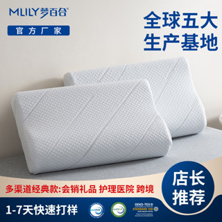 【臺灣 熱銷品】跨境波浪情侶學生頸椎專用睡眠枕頭慢迴彈記憶棉太空記憶棉枕 3FPL