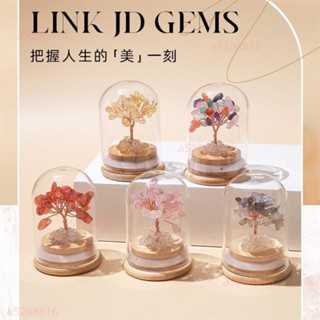 玻璃罩生命樹水晶碎石工藝品天然水晶發財樹許願瓶招財擺件消磁石白水晶黃水晶粉水晶七彩水晶樹能量禮物