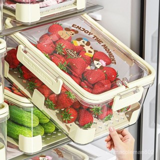 📣24H限時爆品促銷📣戶外食物收納盒冰箱專用便攜密封果蔬手提保鮮盒瀝水廚房冷凍冷藏朵朵精選 PQGI