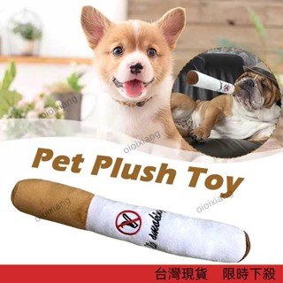 【熱賣爆款】趣味毛絨寵物玩具 潔齒 磨牙 減壓 自嗨 寵物玩具 狗狗玩具 發聲玩具