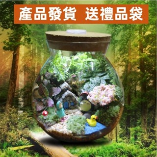 DY522生態瓶創意夜燈 手工diy植物玻璃盆栽 景觀瓶 園藝 花盆花器 苔蘚微景觀生態瓶 小品盆栽 交換禮物 辦公室盆