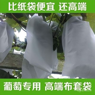 【自帶抽繩】葡萄水果套袋防蟲防鳥防雨水果網袋無花果透氣防寒布🔥509🔥 QK5Z