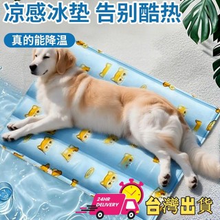 【限時特賣】夏天卡通寵物冰墊貓咪狗狗降溫凝膠坐墊 貓狗避暑床耐抓咬 降溫神器 大涼墊