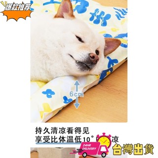 【限時特賣】夏季涼墊 冰墊坐墊 夏季凝膠涼墊 學生宿捨冰枕冰床墊 冰涼冰坐墊 免註水冰涼墊 寵物冰墊