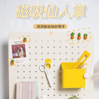 新品 洞洞板 洞洞板置物架 屏風洞洞板 夾式洞洞板 桌上洞洞板 桌上收納架 鐵質洞洞板 立式洞洞板 洞洞板配件-仙人掌磁