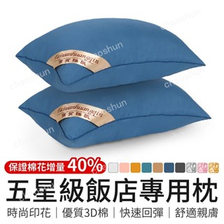 【精選優選】五星級飯店專用枕 保證850克 飯店枕頭 飯店專用枕 民宿枕頭 透氣枕 大枕頭 側睡