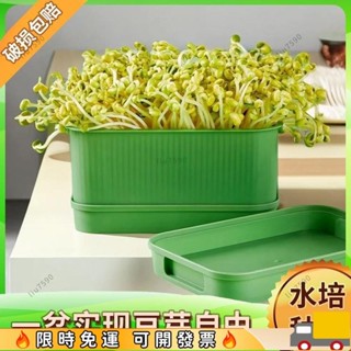 特價🔥豆芽盆傢用黃綠豆豆芽神器豆芽發芽盆水培髮芽盆 水耕栽培 水耕種植 居傢種菜懶人專用1