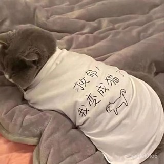 🌸限時特賣🌸 夏季寵物小中型狗狗貓咪衣服輕薄款背心透氣防曬掉毛可愛搞怪
