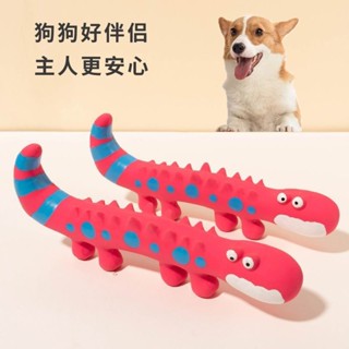 寵物玩具 磨牙 耐咬 狗狗玩具 訓練用品 解悶神器 髮聲狗狗玩具耐咬寵物乳膠蜥蜴耐咬磨牙蜥蜴變色龍乳膠髮聲狗玩具123