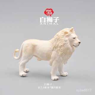 動物模擬模型玩具 野生動物白獅子靜態模型兒童玩具