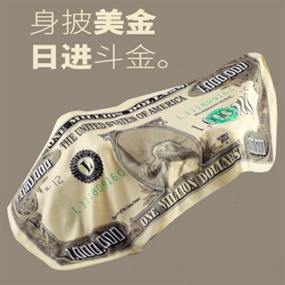 ✨新北出貨💞 熱賣爆款✨滑稽 毯子 百萬美元金搞笑 送禮 空調房 校園 寢室 辦公室 午休法蘭絨 毛毯 披肩 沙發