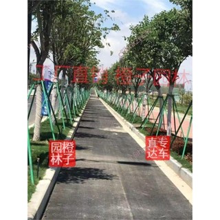 可開發票 大樹固定支架支撐桿支撐器行道樹支撐支桿新款樹箍防風防倒架 不含運