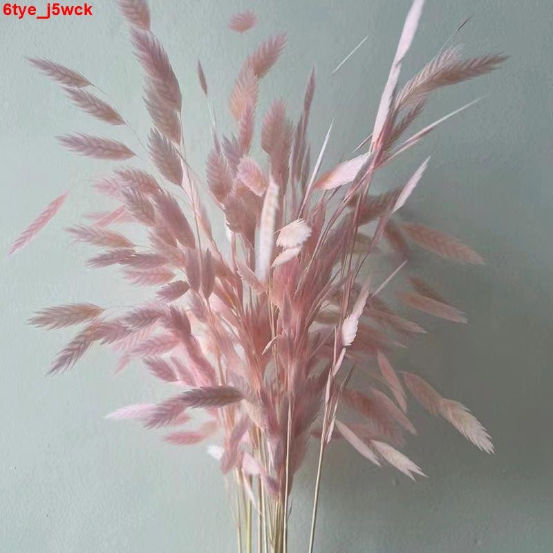 【貴點但真值】乾燥花 向日葵 玫瑰花 拍照道具 乾燥花束 仿真花小盼草永生花干花[漂白小盼草]粉色仿真花diy永生花永久