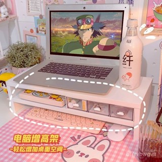 電腦增高架 電腦螢幕架 鍵盤架 螢幕增高架 懶人支架 USB 桌上置物架 延邊桌螢幕增高 鍵盤收納 電腦螢幕增高架 螢