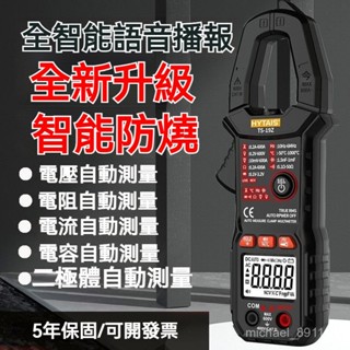 萬用表 數字鉗形表 智慧電流表 測試引線 測量電流表 迷你萬用表 三用電表 電壓表 電壓測量 電容計 萬用電表