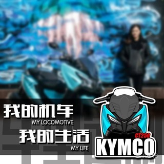 🤖光陽機車貼紙 適用於光陽KYMCO摩託車機車卡通劃痕車型貼 車友會車貼定製反光貼 機車車貼 機車車身貼紙 防水貼紙