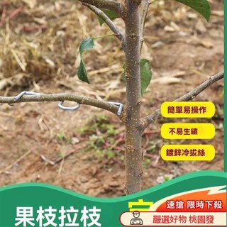 ✨臺灣出貨✨20入 果樹枝拉枝器 園林工具果樹 定型器 壓枝器 傢用盆景固定通用別枝器 開角器 蘋果樹壓枝撥枝別枝器 開