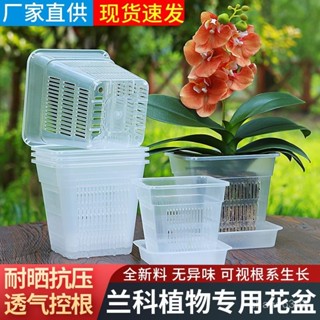 桃園快速🚚 方形加厚新款專用高透明鏤空網格花盆塑膠水苔帶底孔控根透氣家用