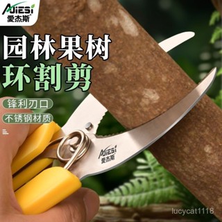 ⚡臺灣24h⚡不銹鋼環割剪刀果樹園林專用環剝剪棗樹蘋果樹環剝刀 DLDD