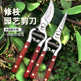 速發*園藝剪刀 修枝剪 果蔬剪 園藝剪刀強力果枝剪刀修剪花枝綠化粗枝家用長柄枝條剪園林剪子