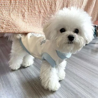 天天上新|可愛寵物狗狗衣服撞色華夫格背心春夏新款馬爾濟斯比熊泰迪家居服