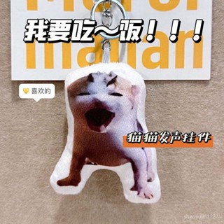 臺灣發貨 我要吃飯小貓語音掛件大局逆轉貓髮聲玩偶meme定製抽象寵物鑰匙扣 鑰匙圈 鑰匙扣 包包掛件 發聲掛件 包包掛飾