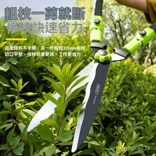 高階品質🎁免運🚚 得力園藝剪刀 剪樹枝專用剪刀 修枝剪 花剪 修剪樹枝剪刀 剪草伸縮剪刀