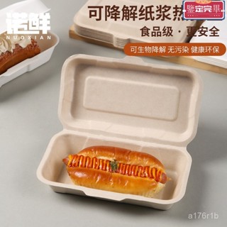 💥限時下殺價💥 紙塑盒 治包裝 泡芙包裝 烘焙包裝 蛋糕盒 紙漿熱狗盒一次性打包盒長方形餐盒可降解可頌三明治外賣便噹連體