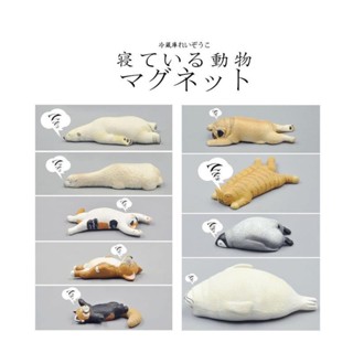 臺灣出貨✨ 日本手辦 公仔 日本動物模型玩具扭蛋 睡覺 休眠動物園 創意冰箱貼 交換禮物 生日禮物 23OJ