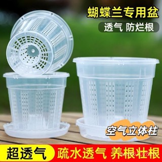 桃園快速🚚 【1579人好評】蝴蝶蘭專用花盆空氣柱透明青山盆特大號大口徑塑膠圓形桌麵高花盆