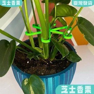 新店低價🎁 天然竹製植物支撐架 防倒伏花盆固定器 水培綠植專用支架 室內花卉扶正架 園藝盆栽固定輔助工具