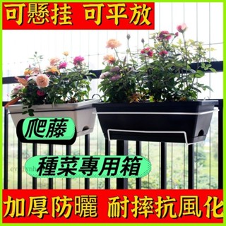AT✅臺灣熱賣🔥 【下殺】 花盆槽 種植箱 花盆塑膠陽臺種菜盆箱種菜神器家用北歐簡約臺北寄