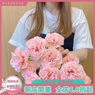 臺灣出貨📞康乃馨 仿真花 假花 母親節禮物 客廳擺設餐桌裝飾花 花藝 擺件 幹花 花束