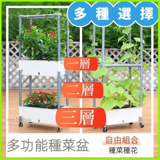AT✅臺灣熱賣🔥 【下殺】 栽培箱 雙層種植箱 陽臺懶人蔬菜陽臺草莓 多層種菜盆 家用臺北寄
