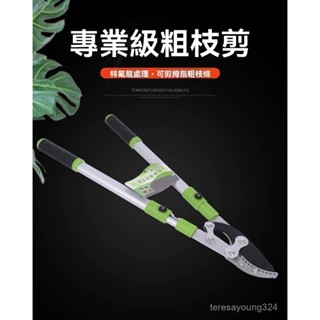 高階品質🎁免運🚚 可伸縮園林粗枝剪 SK5刀刃 家庭園藝 伸縮款 修枝長臂剪刀 農業修剪刀