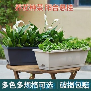 【限時優惠】免運 霍倫種菜盆長方形花盆花盆大全花盆塑膠特價清倉種菜箱種植箱家用