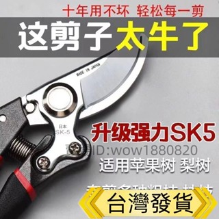 原裝日本SK5大剪子 大號強力修枝剪 剪樹枝剪子 花木園藝剪 剪刀修枝剪 園林剪 果樹剪 磨刀器
