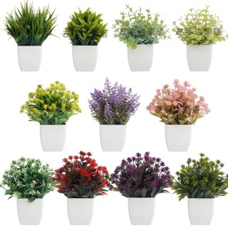 精選優品 仿真植物盆栽尤加利春草羅漢草綠植桌面擺件客廳擺件人造綠植